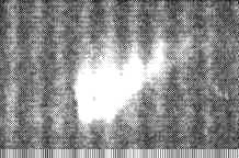 Fig6-4.jpg